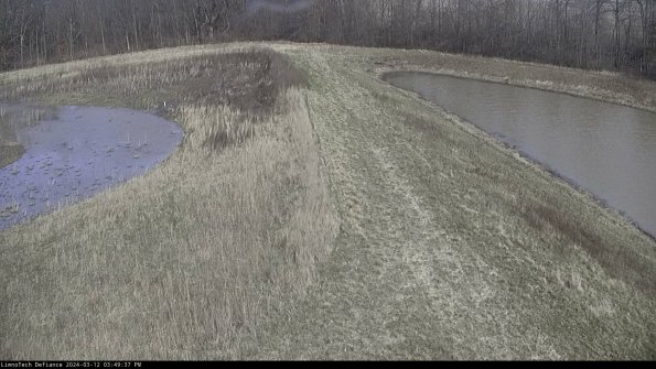 Cell 4 to Basin_24-03-12_15-49-38-17