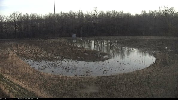 Cell 4_24-03-12_08-33-42-12