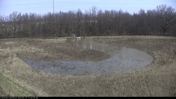 Cell 4_24-03-12_11-54-40-13