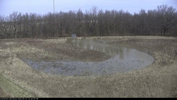 Cell 4_24-03-12_12-28-10-15