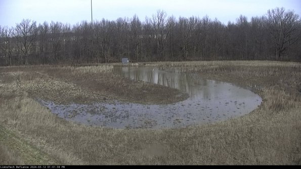 Cell 4_24-03-12_13-01-39-14