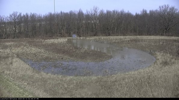 Cell 4_24-03-12_14-08-38-15