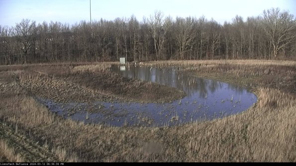 Cell 4_24-03-12_18-36-37-14