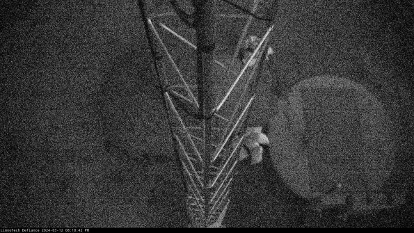 Hatch_24-03-12_20-18-43-13