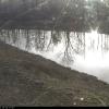 Basin_24-03-13_09-08-14-27