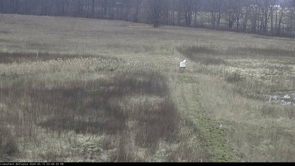 Cell 1 to 2_24-03-13_15-48-21-13