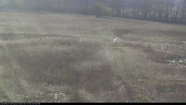 Cell 1 to 2_24-03-13_18-35-47-13