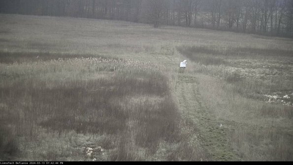 Cell 1 to 2_24-03-13_19-42-45-13