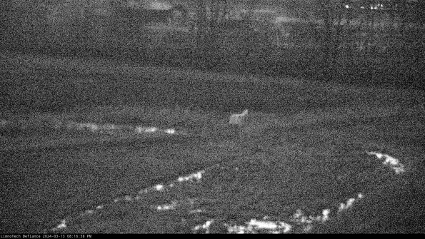 Cell 2 to 3_24-03-13_20-16-39-28