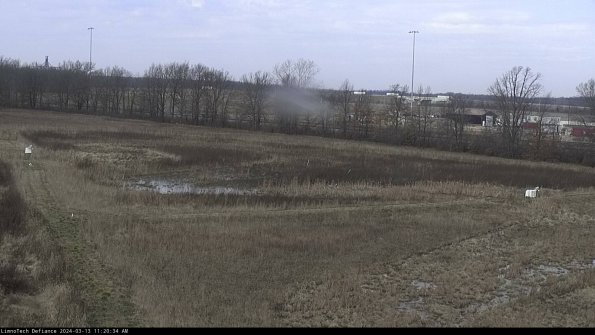 Cell 2_24-03-13_11-20-35-15