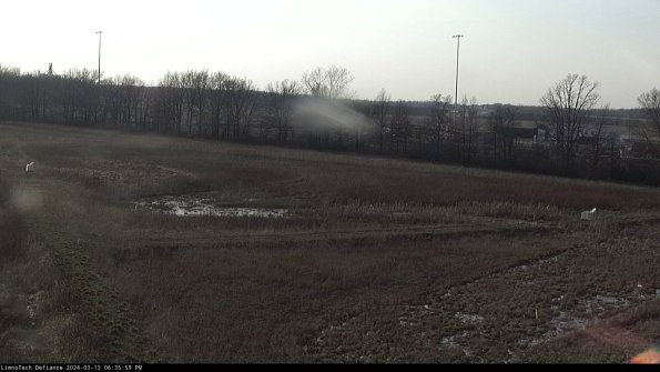 Cell 2_24-03-13_18-36-00-18