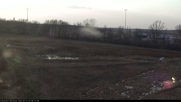 Cell 2_24-03-13_19-09-28-16