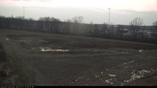 Cell 2_24-03-13_19-42-58-15