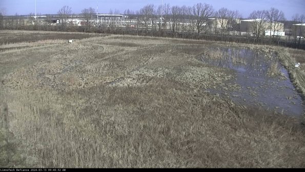 Cell 3_24-03-13_09-40-33-15