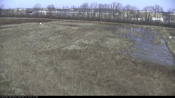 Cell 3_24-03-13_10-47-32-12