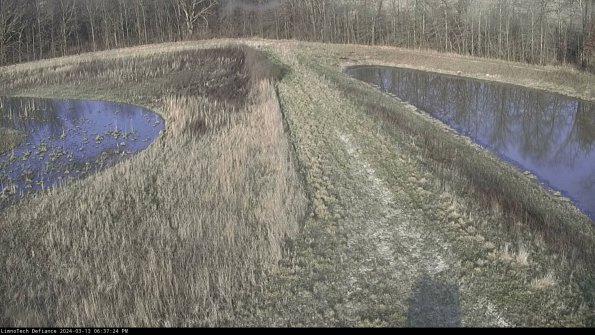 Cell 4 to Basin_24-03-13_18-37-25-13