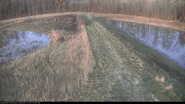 Cell 4 to Basin_24-03-13_19-10-54-11