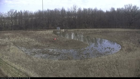 Cell 4_24-03-13_10-48-00-15