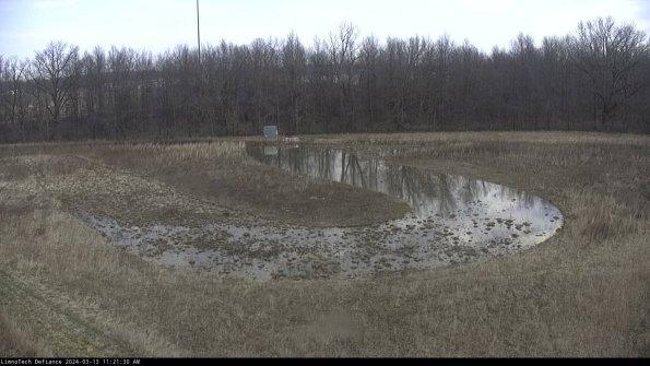 Cell 4_24-03-13_11-21-31-14