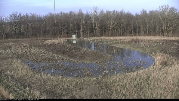 Cell 4_24-03-13_18-36-55-13