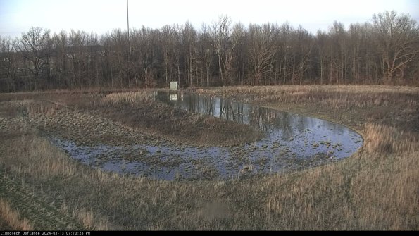 Cell 4_24-03-13_19-10-24-12