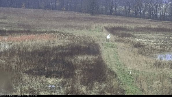 Cell 1 to 2_24-03-14_10-13-46-13