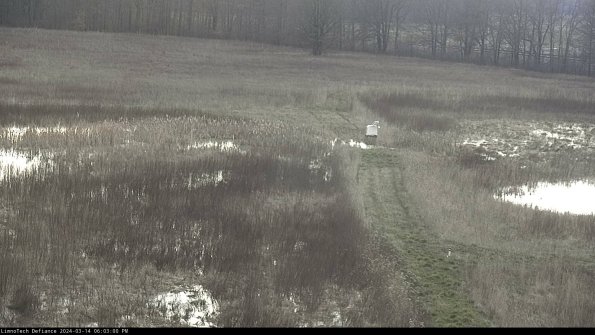 Cell 1 to 2_24-03-14_18-03-01-21