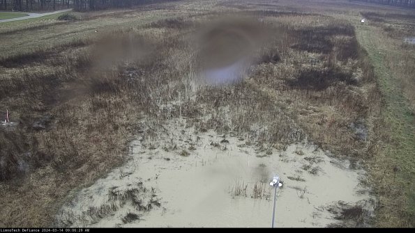 Cell 1_24-03-14_09-06-30-15