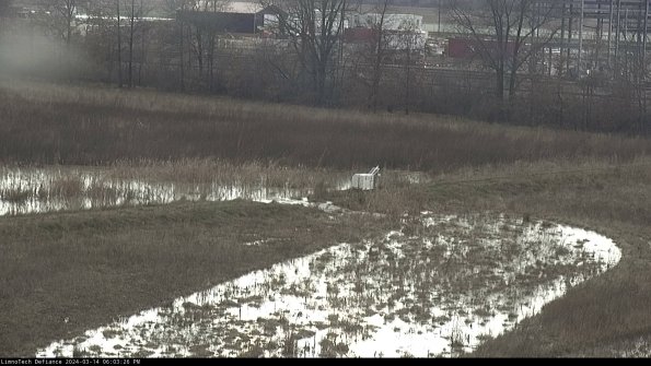 Cell 2 to 3_24-03-14_18-03-27-41