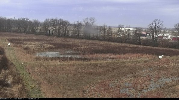 Cell 2_24-03-14_10-13-59-18