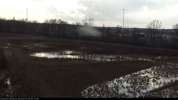 Cell 2_24-03-14_18-03-14-29