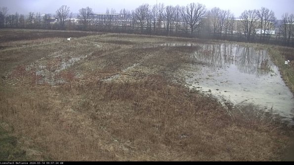 Cell 3_24-03-14_09-07-25-14