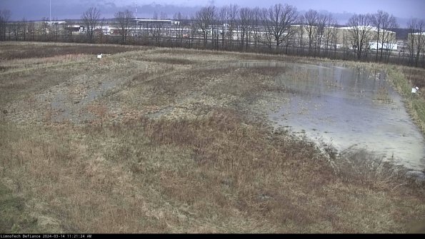 Cell 3_24-03-14_11-21-25-37