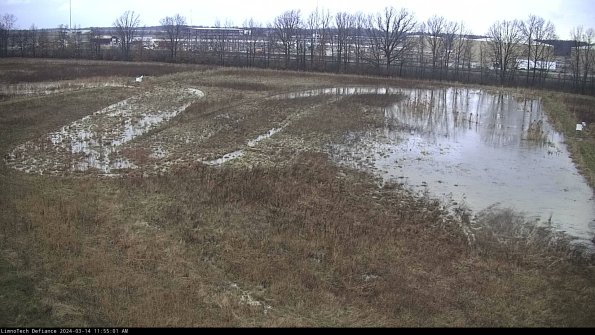 Cell 3_24-03-14_11-55-02-13