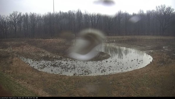 Cell 4_24-03-14_09-07-53-13