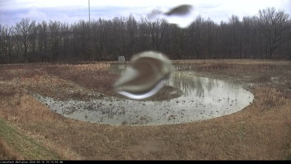 Cell 4_24-03-14_10-14-55-14