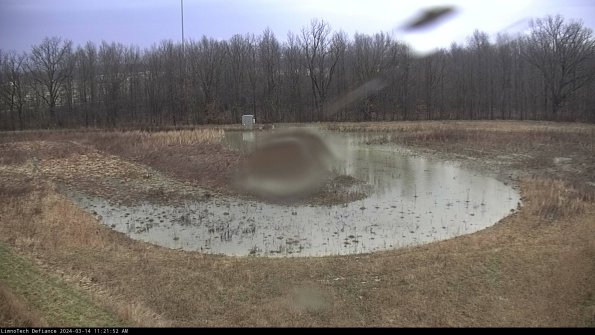 Cell 4_24-03-14_11-21-53-30