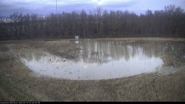 Cell 4_24-03-14_19-44-40-14