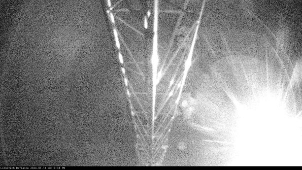 Hatch_24-03-14_20-19-49-13