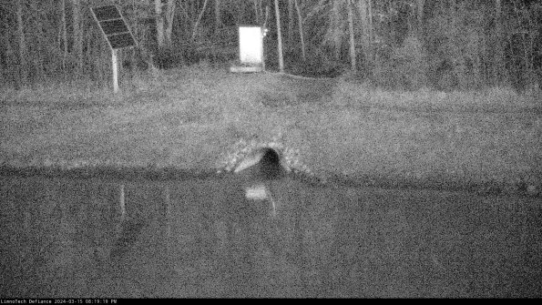 Basin Inflow_24-03-15_20-19-20-15