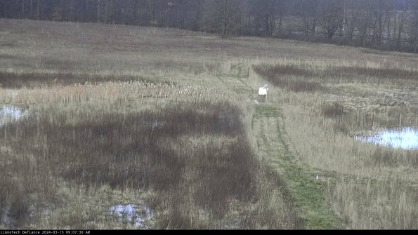 Cell 1 to 2_24-03-15_09-07-31-15