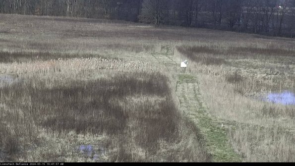 Cell 1 to 2_24-03-15_10-47-58-13