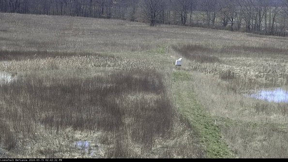 Cell 1 to 2_24-03-15_14-42-23-13