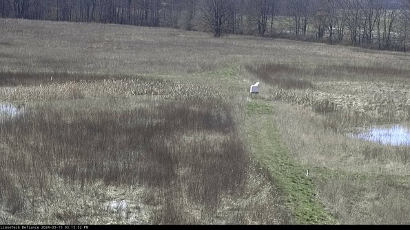 Cell 1 to 2_24-03-15_15-15-53-12