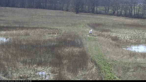 Cell 1 to 2_24-03-15_16-22-51-12