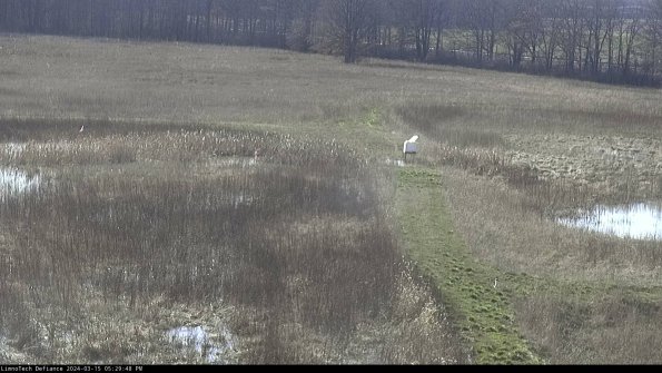 Cell 1 to 2_24-03-15_17-29-49-16