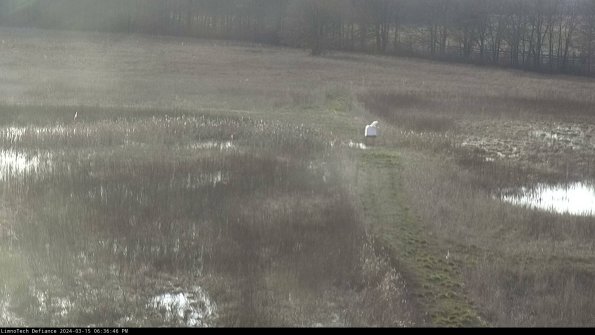 Cell 1 to 2_24-03-15_18-36-47-13