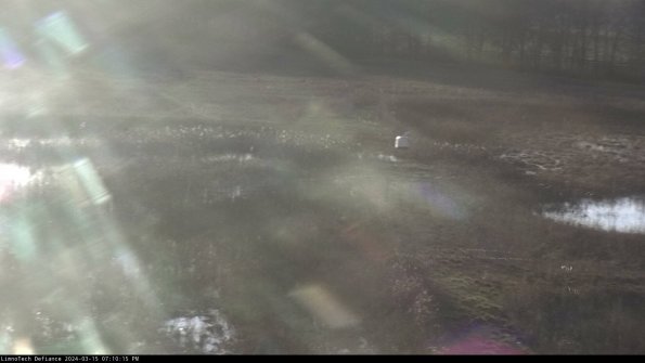 Cell 1 to 2_24-03-15_19-10-16-12