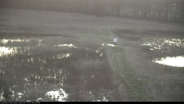 Cell 1 to 2_24-03-15_19-43-45-14