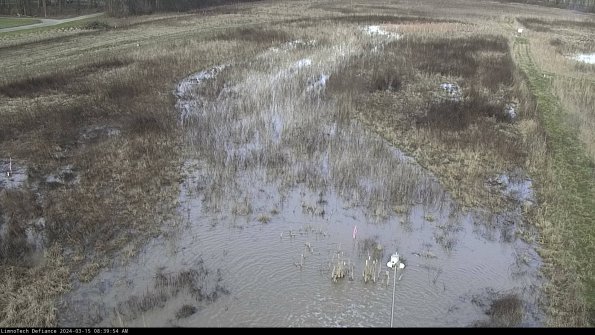 Cell 1_24-03-15_08-39-55-29